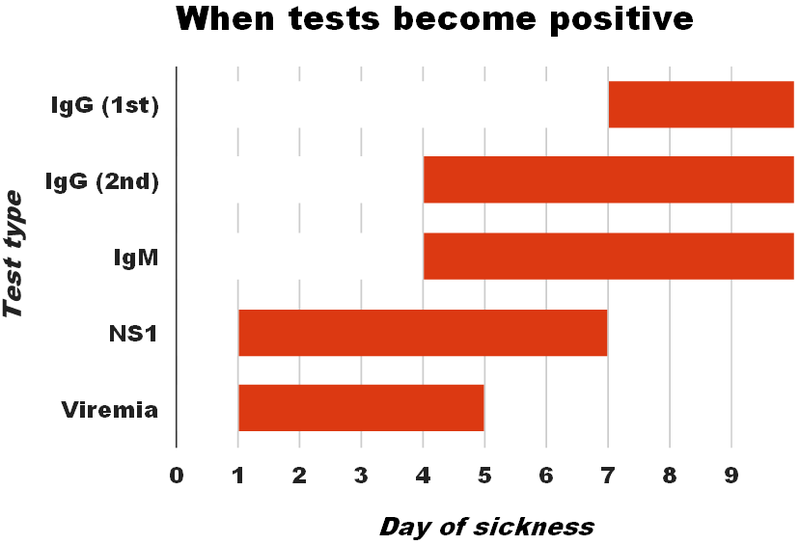 graph showing when does dengue test is seen positive